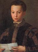 Agnolo Bronzino Portrait of Francesco I as a Young Man Spain oil painting artist